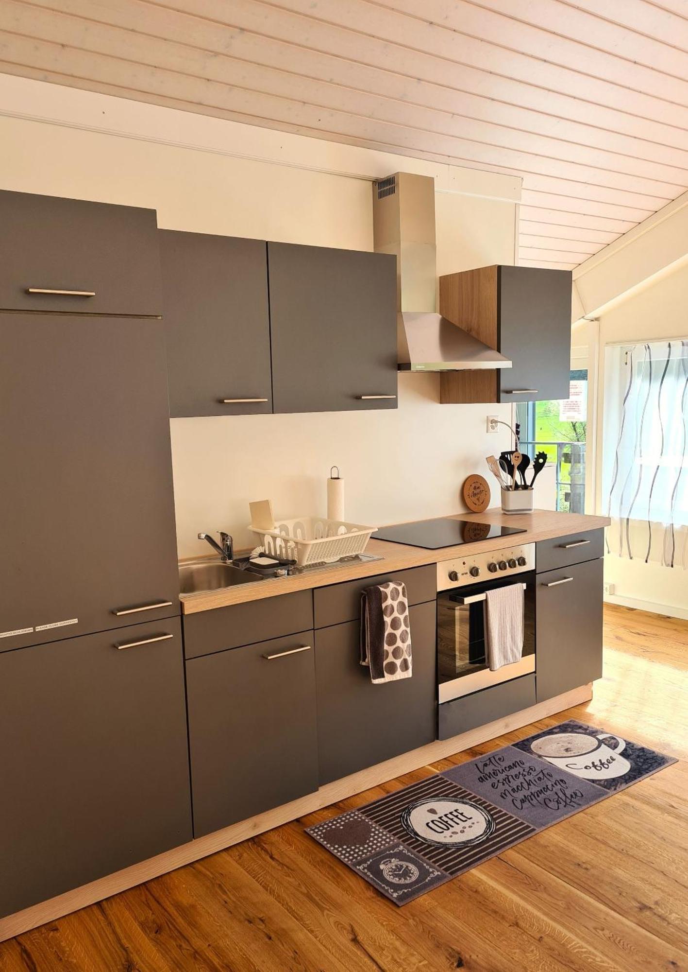 Muota River Loft & Muota Industry Apartment Near Stoos Muotathal Exteriör bild