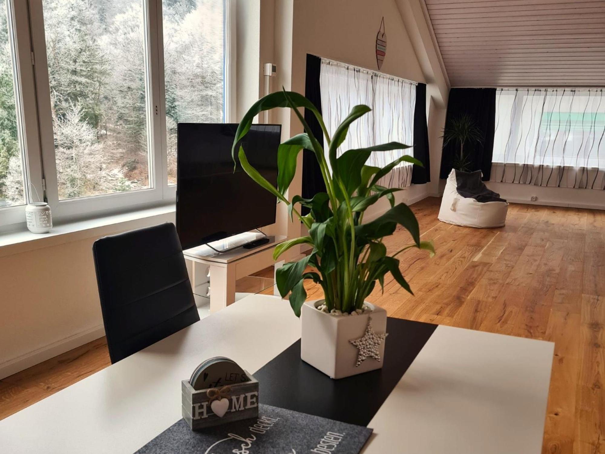 Muota River Loft & Muota Industry Apartment Near Stoos Muotathal Exteriör bild